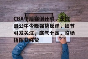 CBA季后赛倒计时，芝加哥公牛今晚强势反弹，细节引发关注，底气十足，临场指挥获称赞的简单介绍